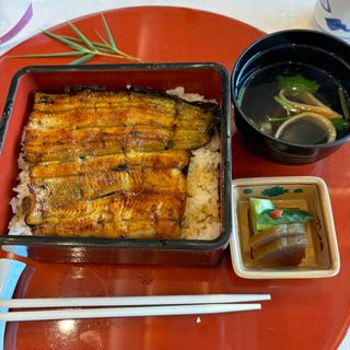 鰻重(日本料理 柏屋)