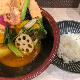 17編成！特急野菜カレー(奥芝商店 東京駅浪漫号)