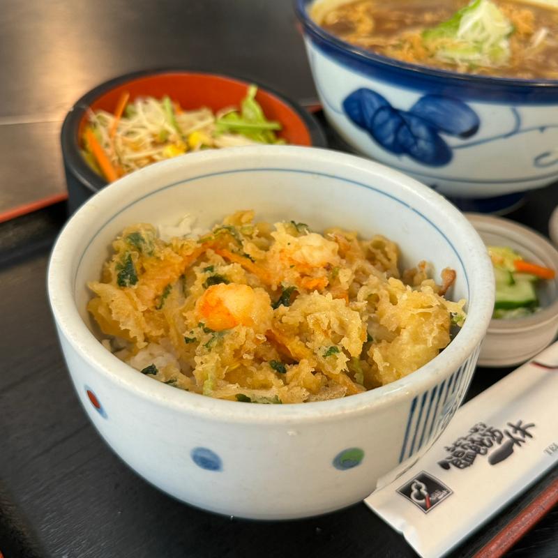 かき揚げ丼(饂飩坊一休)