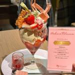 サクラブロッサム(パティスリー＆カフェ デリーモ 東京ミッドタウン日比谷店)