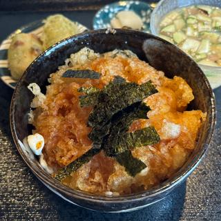 玉子天丼と冷や汁(しぶ天 )