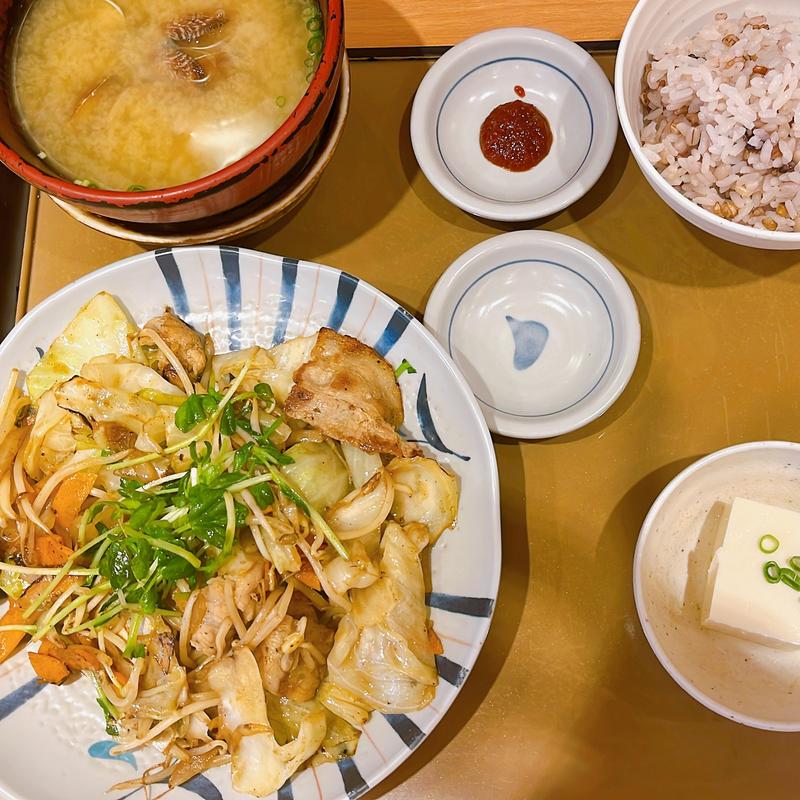 肉野菜炒め定食(やよい軒 京都二条店)