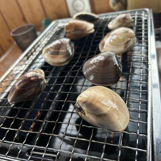 焼きはまぐり(本貝)(いさりび食堂 )