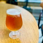 BROOKLYN  LAGER