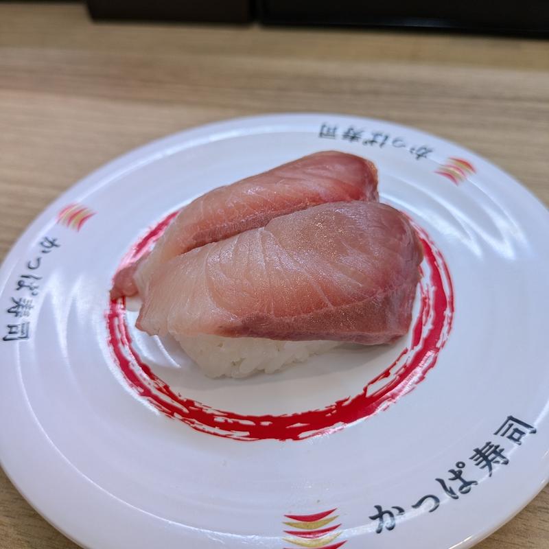 完全養殖 黒瀬ぶり2貫(かっぱ寿司 由利本荘店 )
