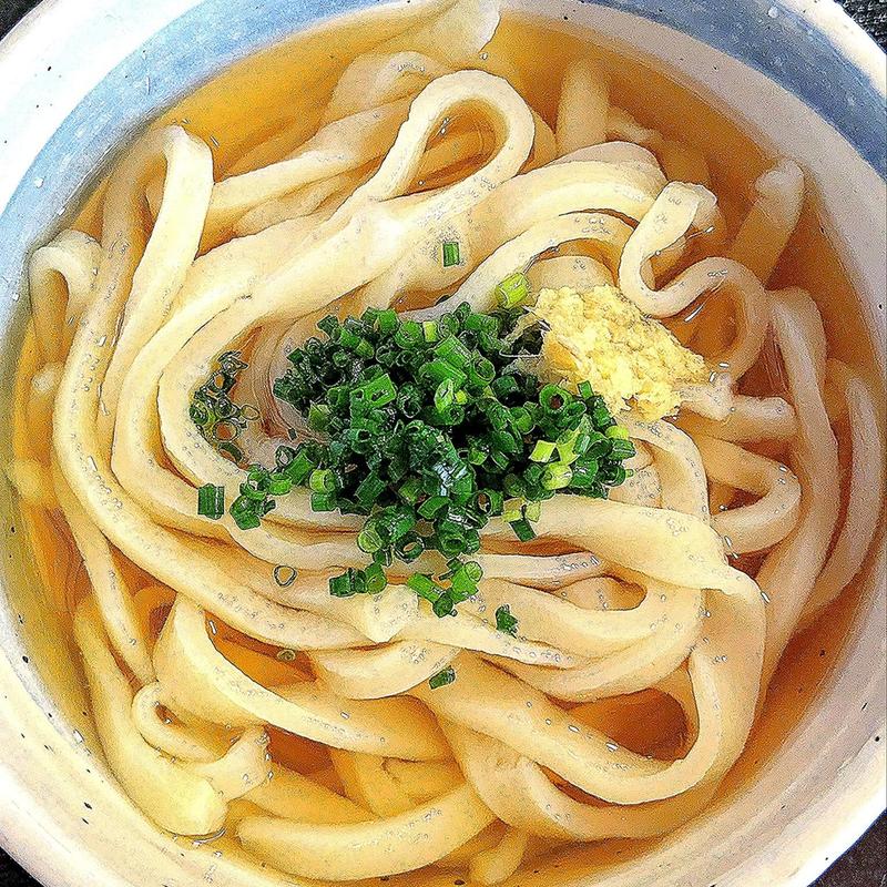 ひやかけ(手打ちうどん つくつくぼうし)