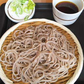 もりそば（そば/うどん）(しぶそば 長津田店)