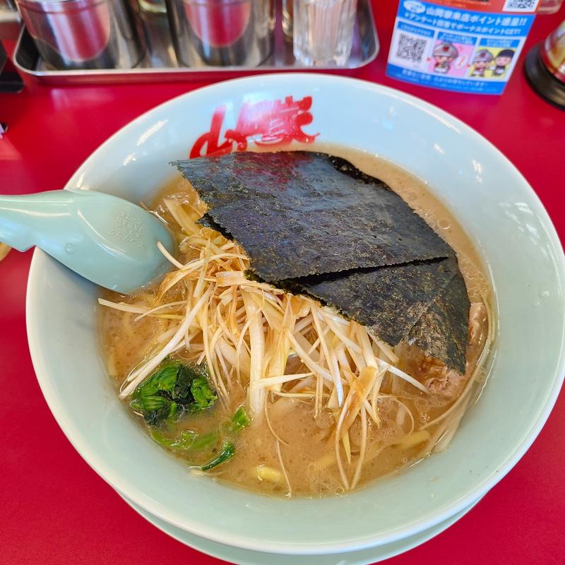 ネギラーメン (醤油)(ラーメン山岡家 留萌店)