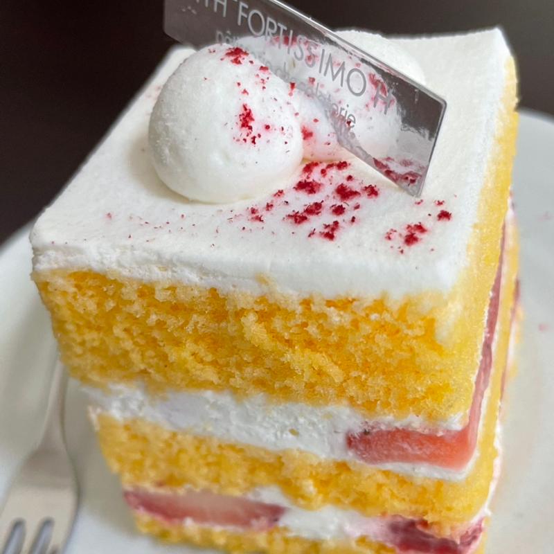 セゾンドガトー(フォルテシモ アッシュ （FORTISSIMO H）)