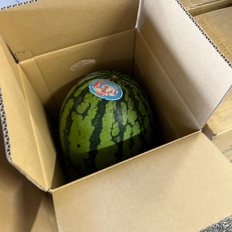 紅まくら(スーパー一色)