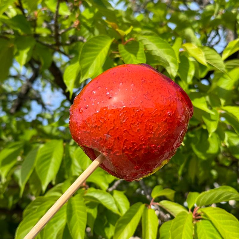 りんごあめ(オオスミフルーツ )