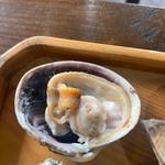大あさり(海女小屋はちまんかど・あさり浜 )