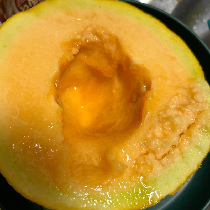 夕張メロン(北海道四季マルシェ札幌ステラプレイス店)