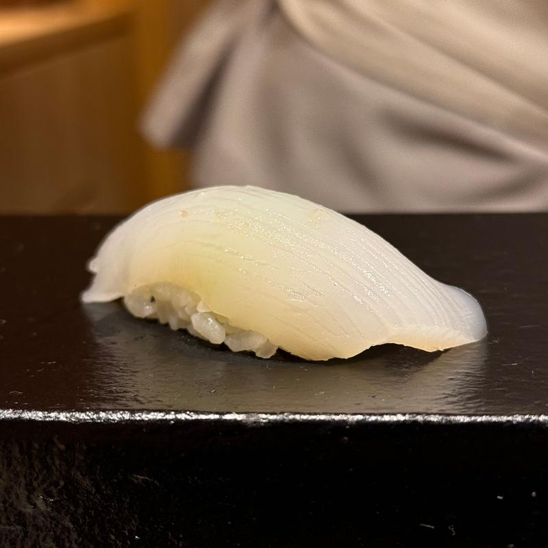 アオリイカ(あま木)