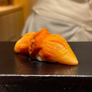 赤貝(あま木)