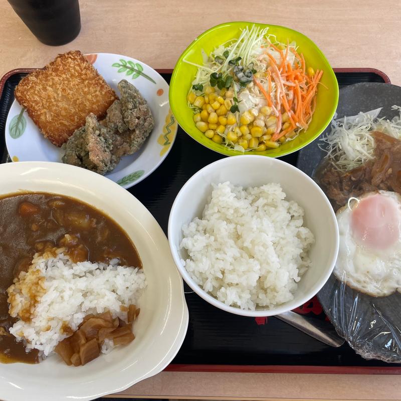 色々(半田屋 吉成店 )