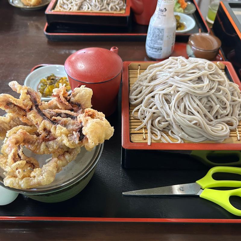 もり天(畠山旅館　更科八 （はたけやまりょかん　さらしなや）)