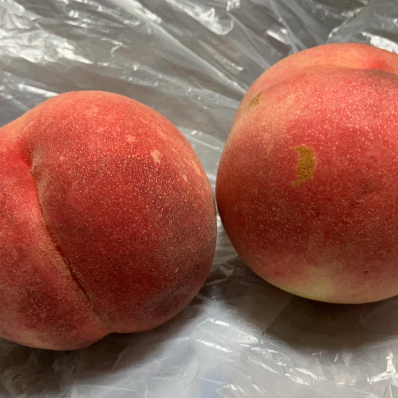 かねちかの桃(愛彩ランド )