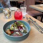 アーリーディナーコース