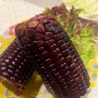 とうもろこし(とりさだ)