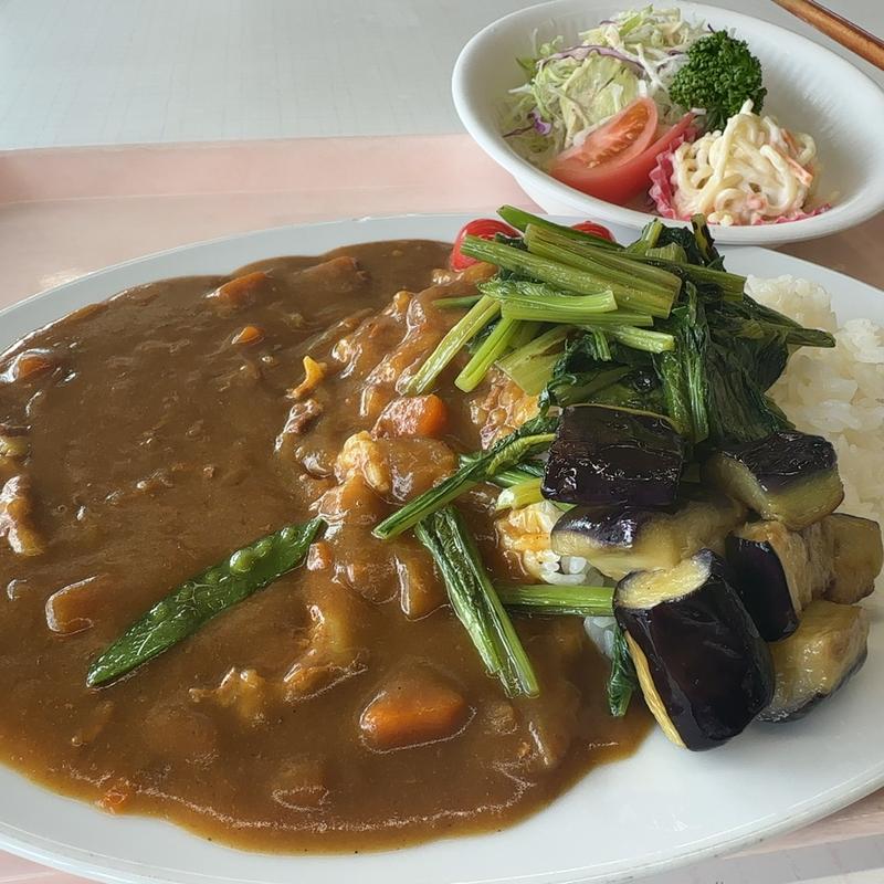 広島夏野菜カレー(広島県庁東館８階食堂 )