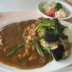 広島夏野菜カレー