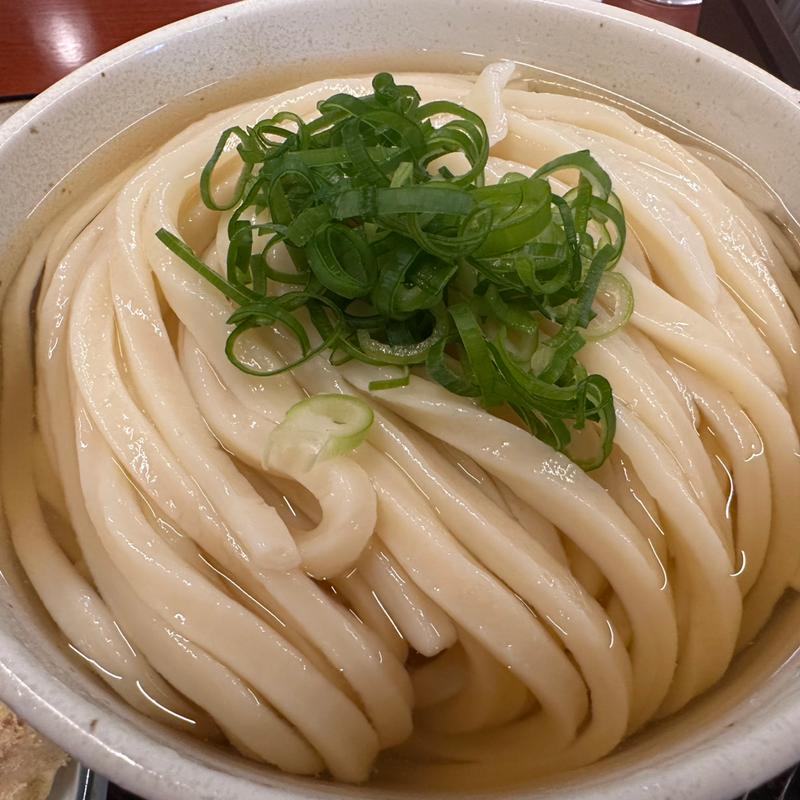 ひやひや特大(うどん たかしま)