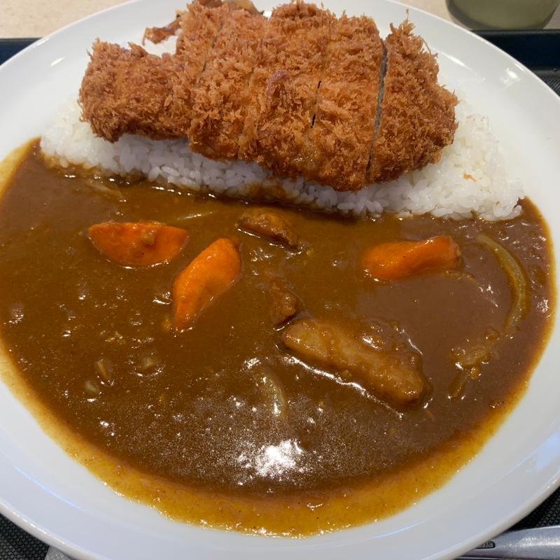 ごろごろ野菜ロースかつカレー(松家 福岡箱崎店)