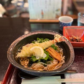 海老天うどん(冷)(開化亭)