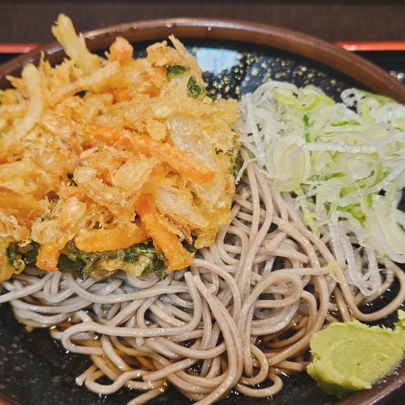 冷やしかき揚げそば(めとろ庵 新木場店 )