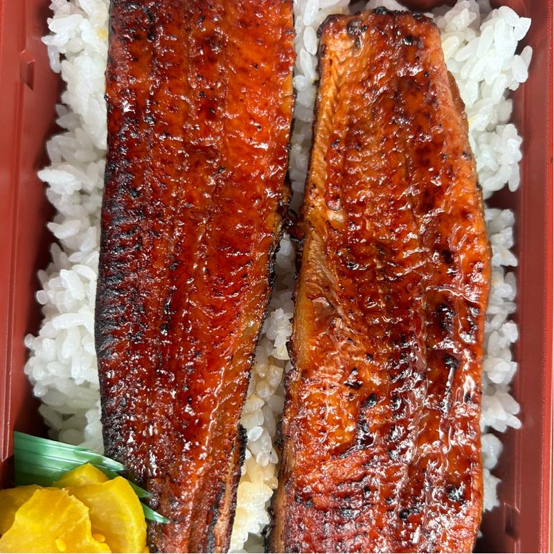 うな重 並 半尾(昼だけ間借り 大津 石山うなぎ)