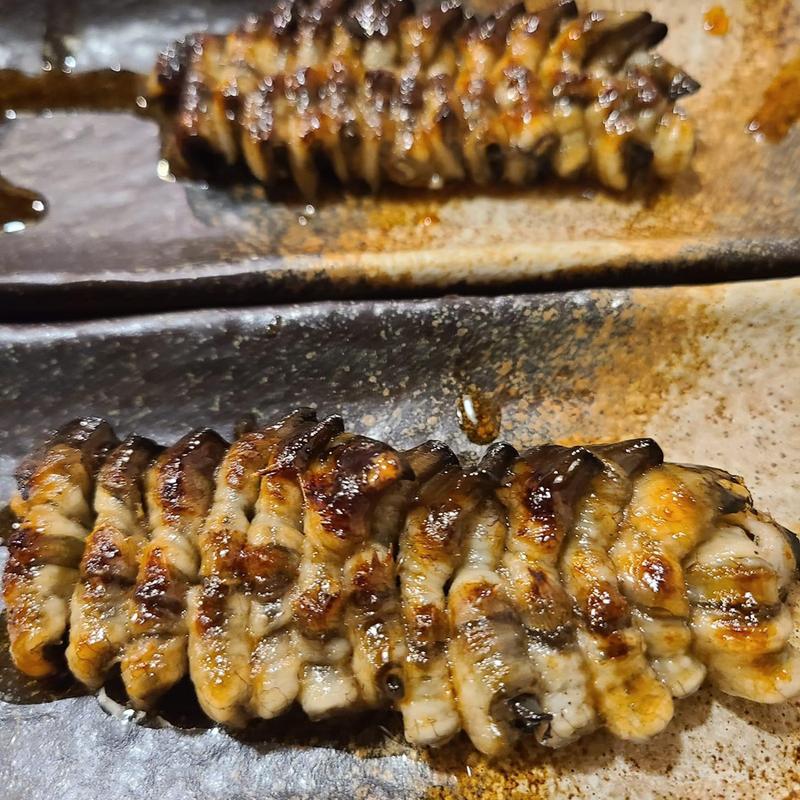 ヒレ焼き(うなぎのまとい)