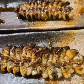 ヒレ焼き(うなぎのまとい)