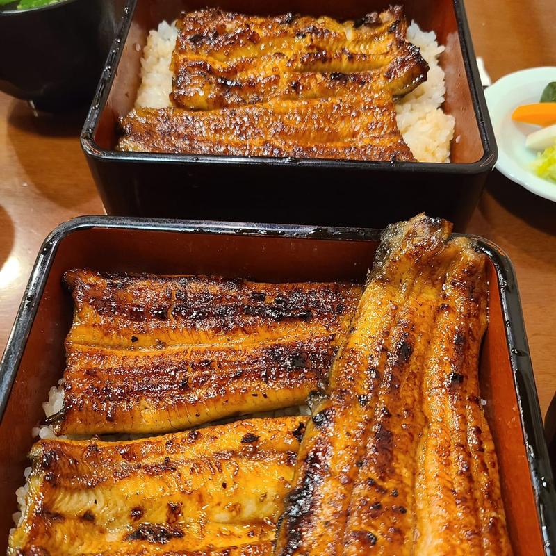 鰻重 上 鰻重 並(うなぎのまとい)