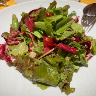 三浦野菜のグリーンサラダ