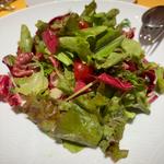 三浦野菜のグリーンサラダ