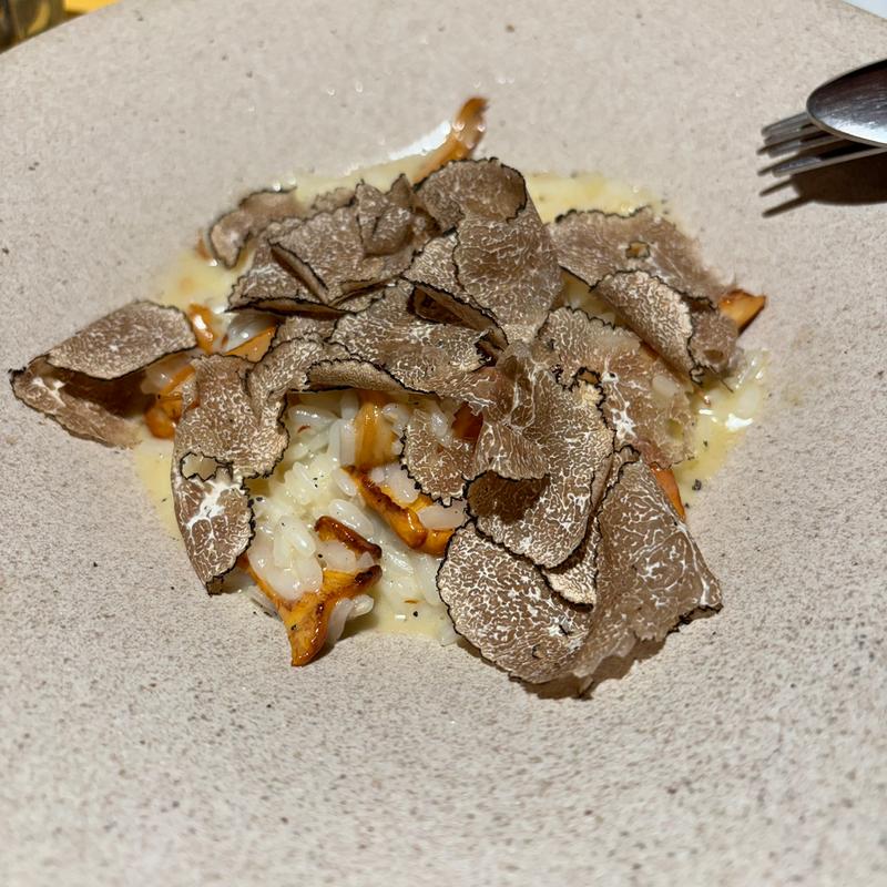 ジロール茸とサマートリュフのリゾット(TRATTORIA FILARE トラットリア フィラーレ)