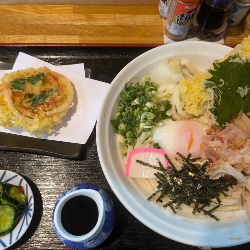 冷やしぶっかけうどん(びっくりうどん )