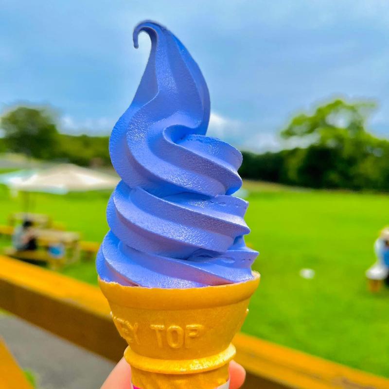 ラベンダーソフト(メナード青山リゾート　ホテルシャンベール)