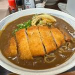 薄いカツカレー蕎麦(カレーうどん専科 祥)