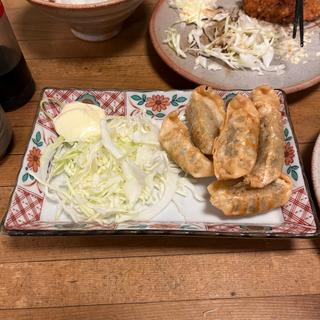 揚げ餃子(酒津屋 中店)