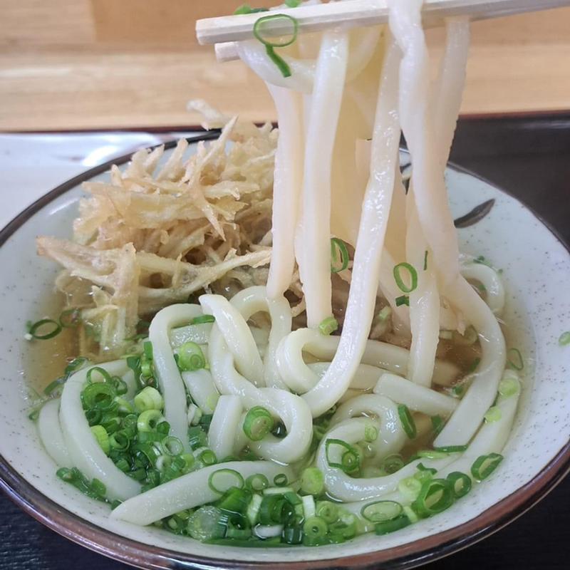 かけ 牛蒡かき揚げ(宮内製麺)
