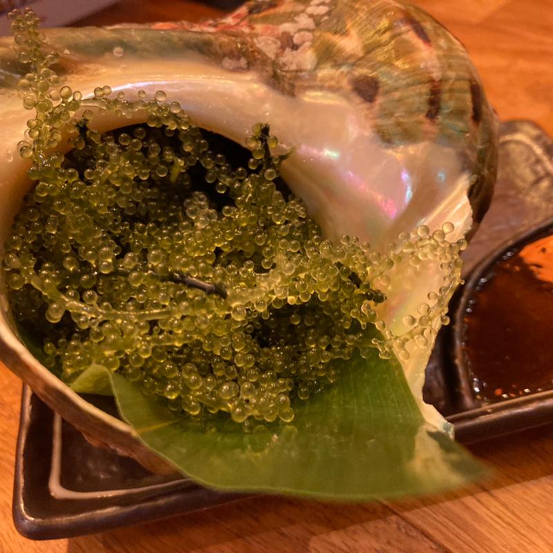 海ぶどう(沖縄ん家 てりとりー )