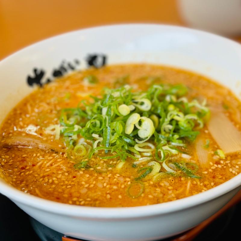 濃厚甘辛ラーメン(あがいやんせ 東岡山店)
