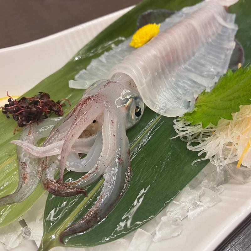 イカのお造り(いけす 鶴八 名駅 はなれ)