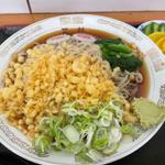 冷やしたぬき蕎麦 大盛り