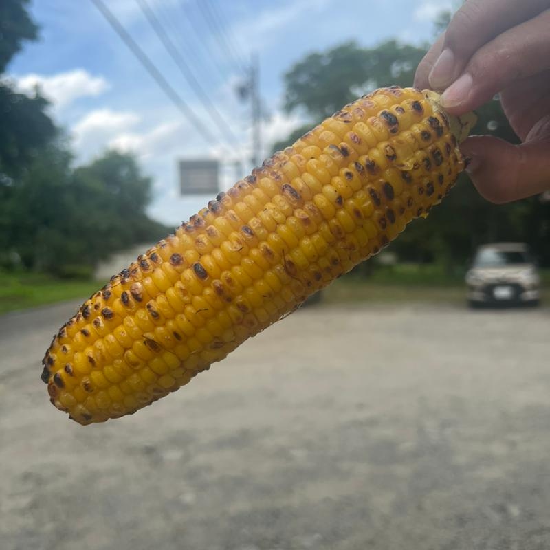 焼きとうもろこし(仁の蔵 直売所 （ニノクラ チョクバイジョ）)