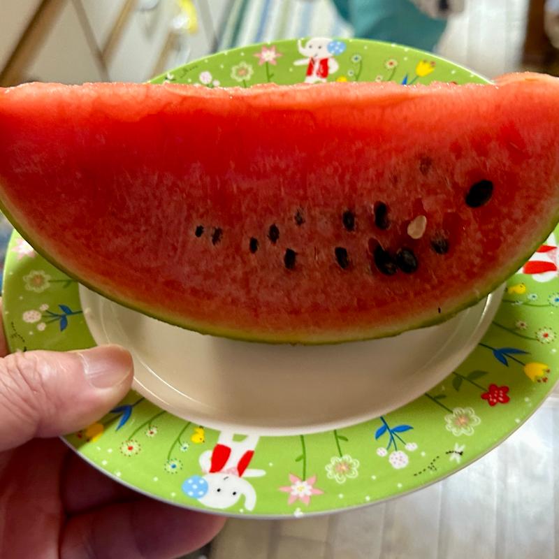 小玉スイカ(ベルクス 東墨田店)