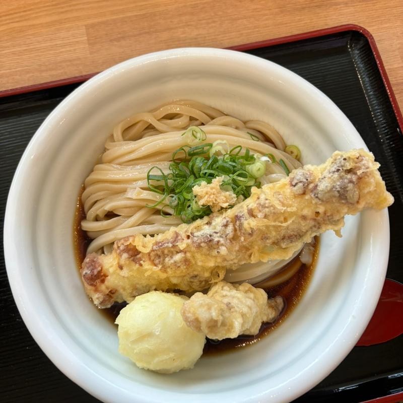 ゴヤウドンぶっかけ　冷(ウドンゴヤ)