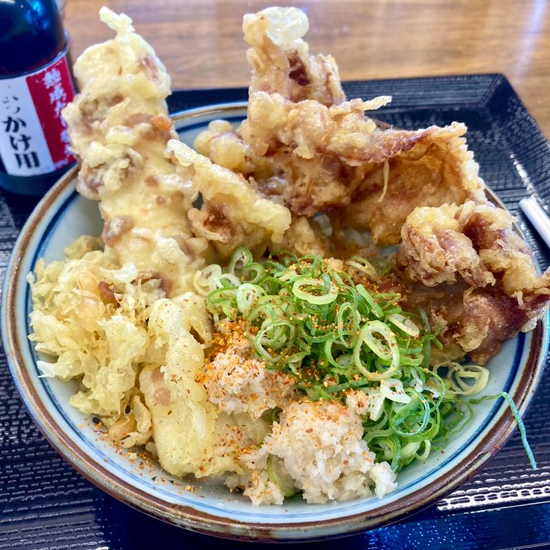 とり天ちくわ天だし醤油ぶっかけ（並）(讃岐うどんエブリデイ 新堀川本店)